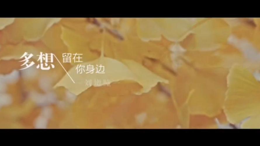 多想留在你的身边，是哪首动人情歌？