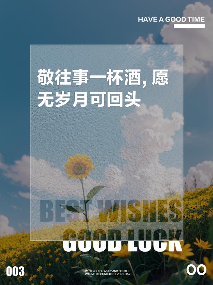 一杯敬往事不回头因为河水不会倒流在资源管理中的启示与实践