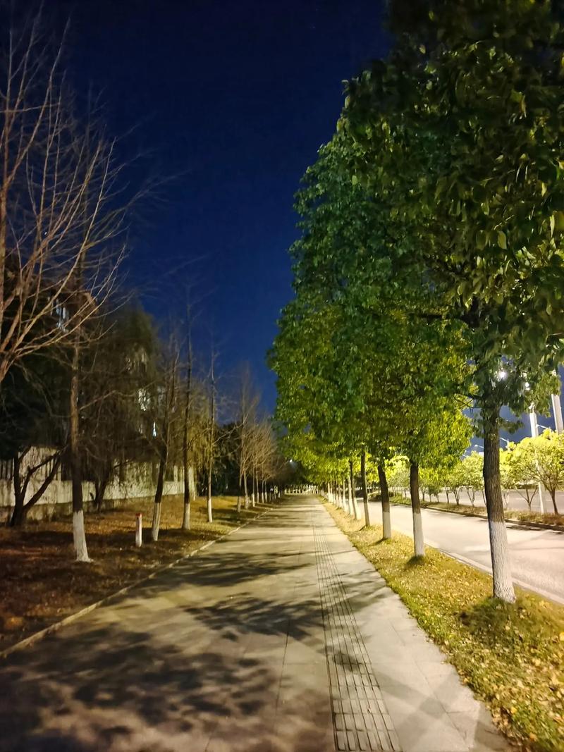 在流逝时光里，总有首歌让人等待——揭秘后继者的深情旋律