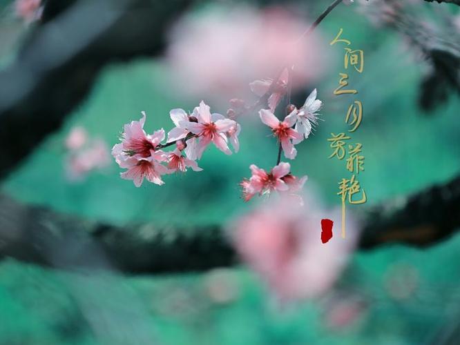 花开双生与叶本不相衬是什么歌，在资源管理与游戏中的深度解析