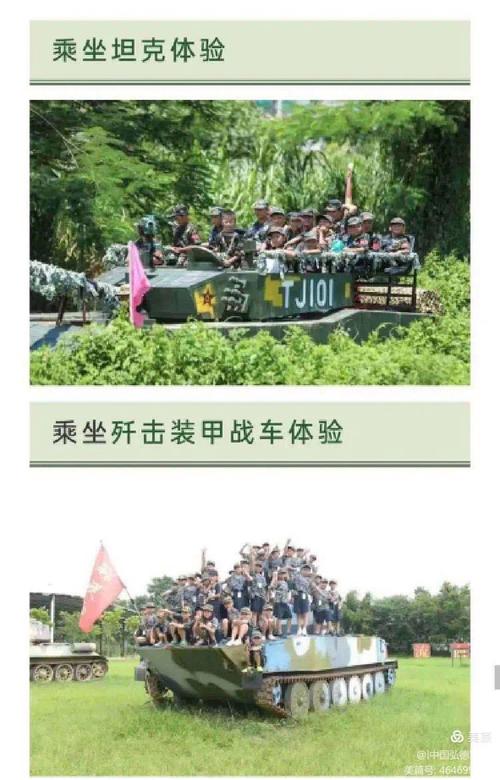 完美世界手游8月14日谜题揭秘，智慧与勇气的双重考验