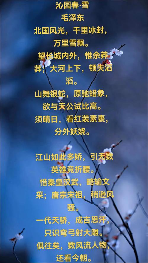 看那江山多娇不如做只飞鸟，这首歌究竟有何魅力？