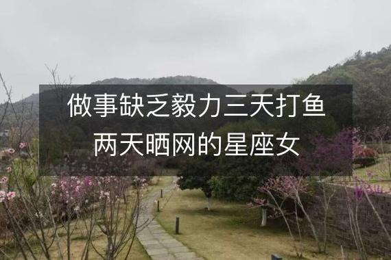 谁天天晒网却不打鱼，资源管理的隐喻与智慧