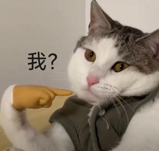 手指绑架表情包，资源管理的新艺术