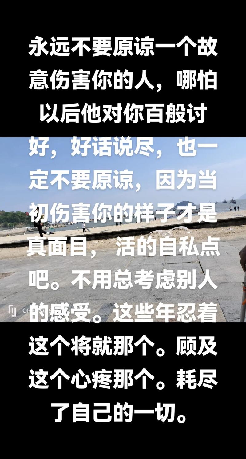 我能原谅你的荒唐，这首歌为何让人动容？
