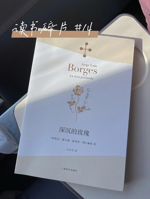 我能原谅你的荒唐是什么歌的深度解析与价值最大化