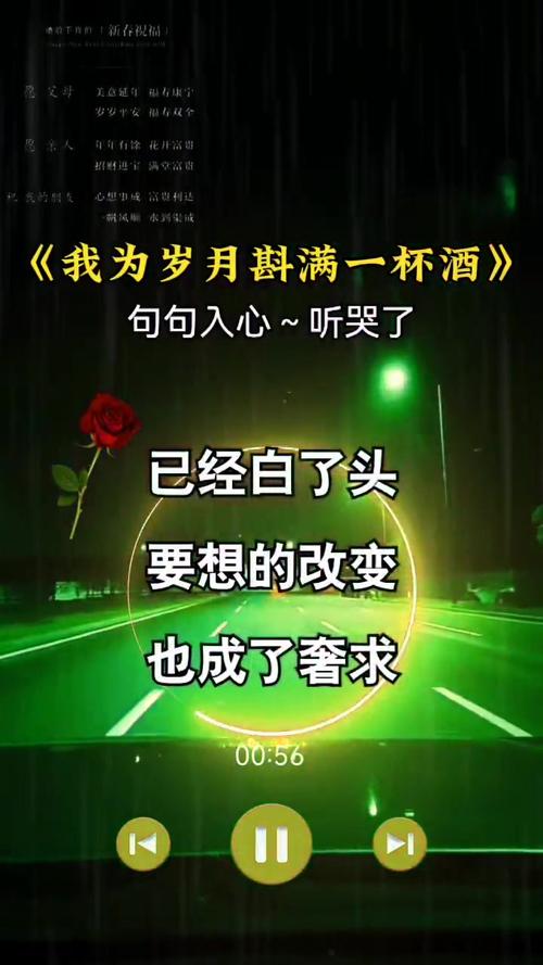 我把岁月酿成酒是什么歌及其在生活管理中的应用