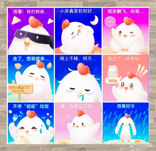 小鸡宝宝考考你，探寻海南的省会之谜