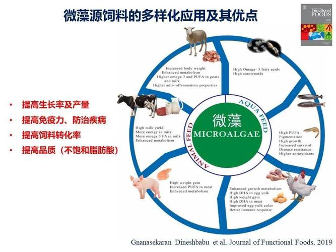 为什么三忍不一起重做在资源管理中的重要性及其高效应用