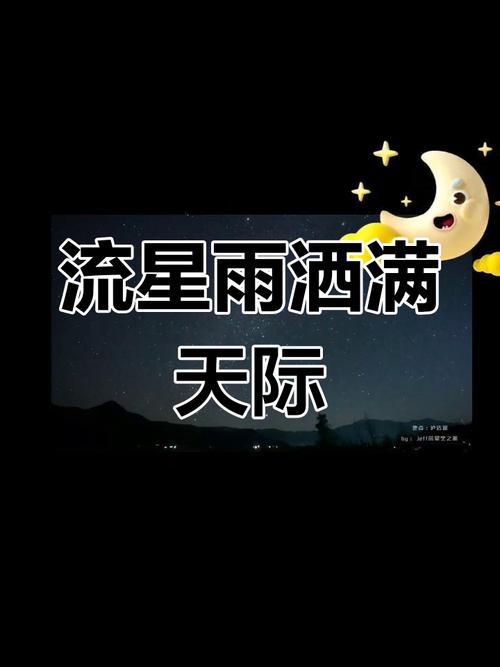 等不到双子座流星雨洒满天际是什么歌——从资源管理视角的深度解析
