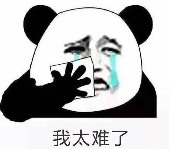 我太难了何以成为全民共鸣的梗？