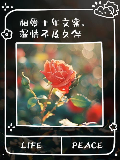 为何曾那么相爱最后却不再理睬——揭秘青丝已泛白背后的深情