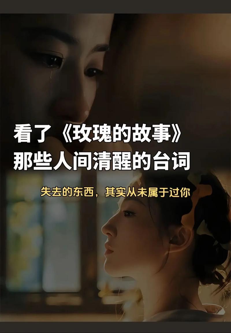 经历过的人会懂什么歌，在资源管理中的深度解析与应用