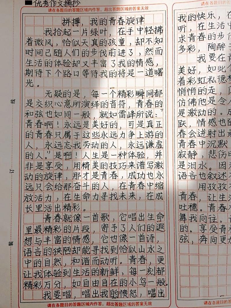 青春旋律的力量，我的青春不为爱而活只为梦想拼搏在资源管理中的启示