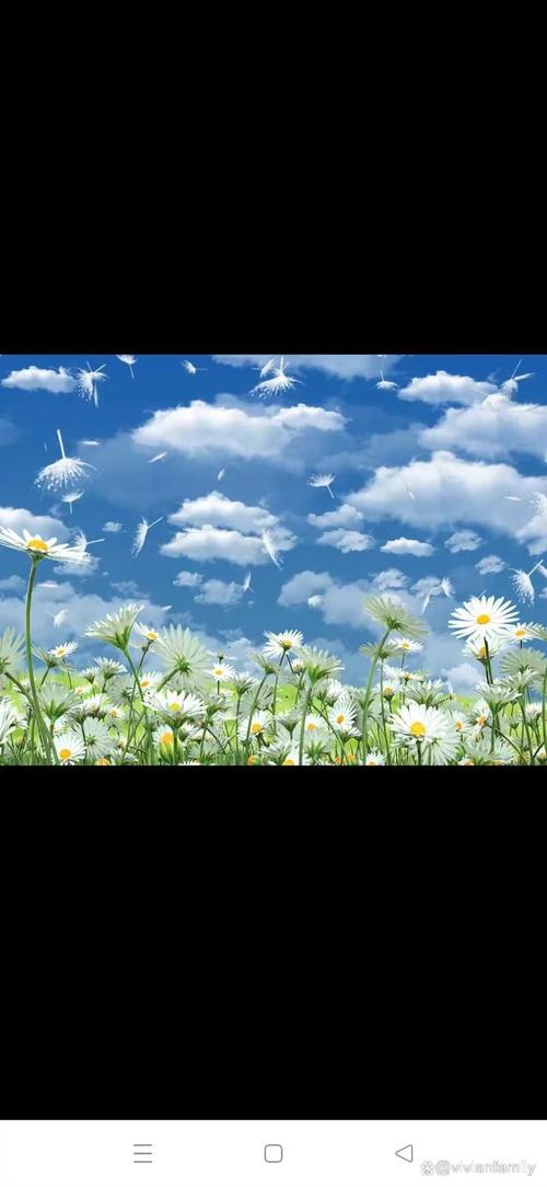 映出心中最想拥有的彩虹，在资源管理中的什么歌之谜