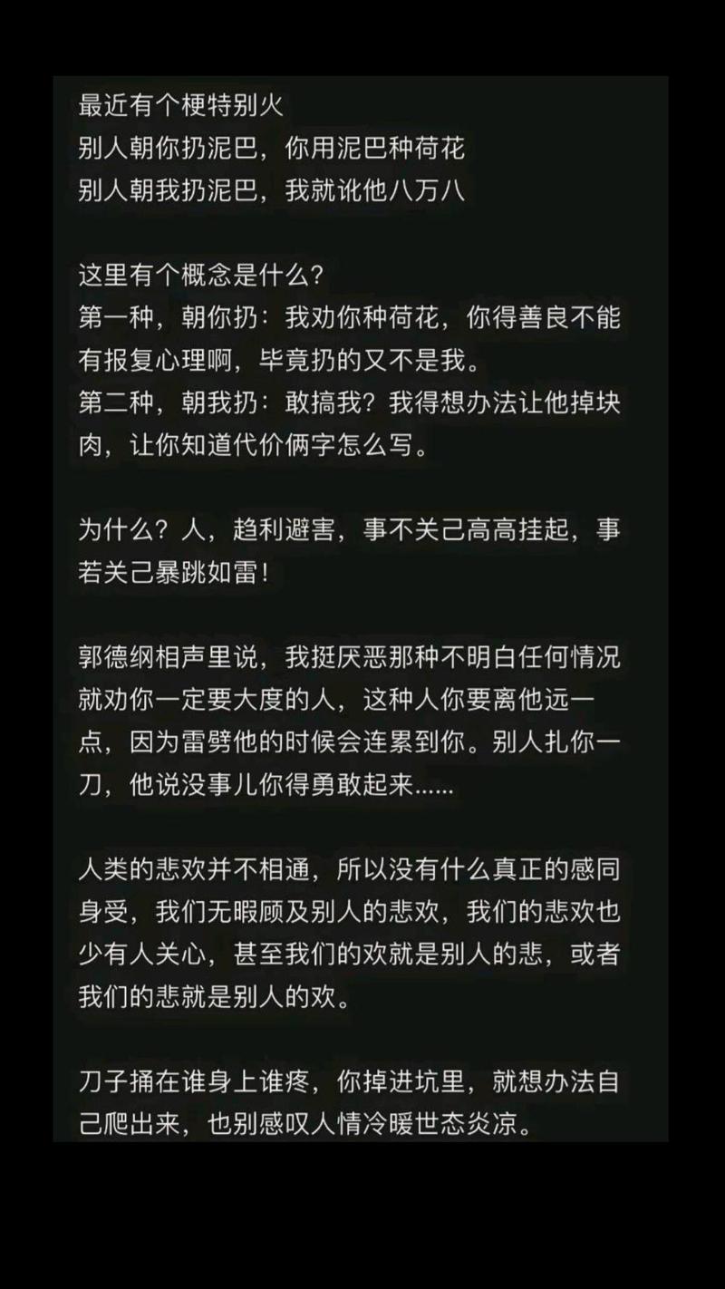 左手的泥呀右手的泥呀什么歌，在资源管理中的奥秘与实践