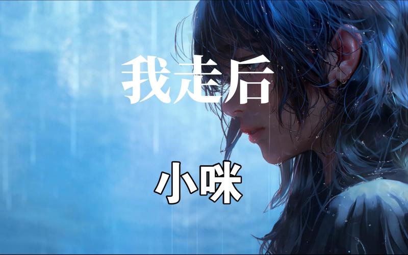 我走后你别再想我什么歌，在资源管理中的智慧运用