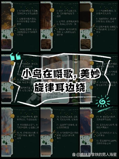 耳边低语，那首触动心弦的旋律