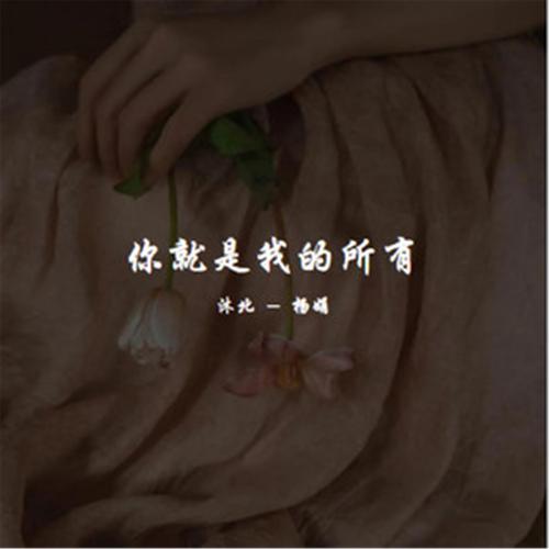 你是我的我是你的是什么歌，资源管理与价值最大化