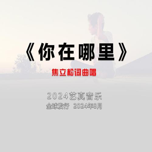 可是你在哪里什么歌，资源管理中的奥秘与策略