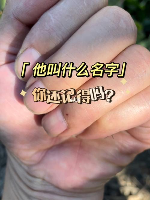 我记得上课偷睡觉手机在那叫是什么歌新手开荒攻略