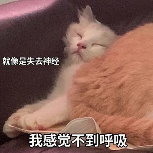 就像是失去神经我感觉不到呼吸是什么歌高难度玩法深度攻略