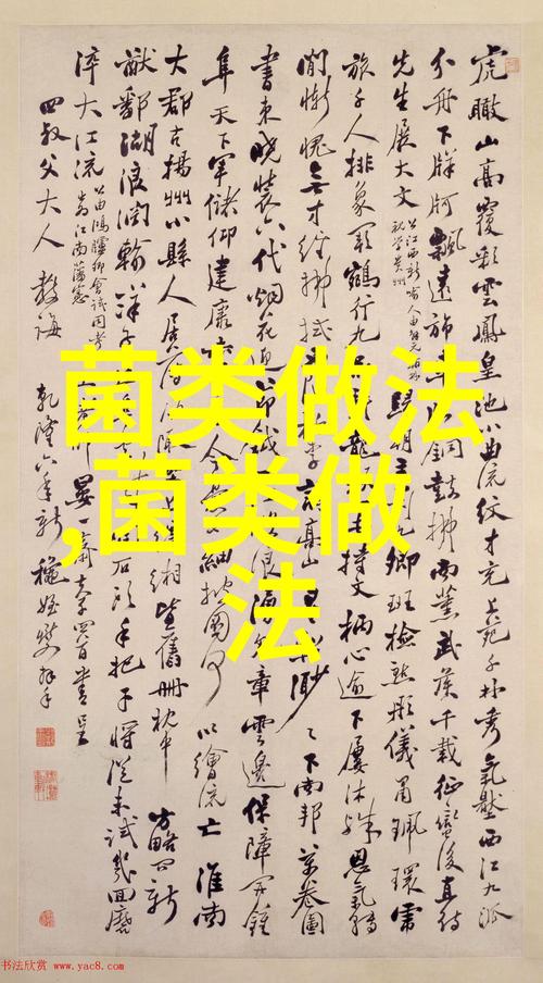 探索18c.mic禁慢天堂入口：揭秘其背后的秘密与用户真实体验分享