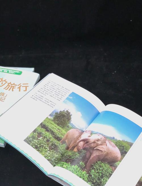 大象成品网站w灬源码1688究竟是什么？深入探究其背后的秘密与特点