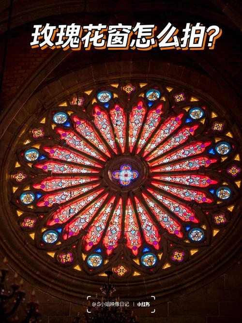 趴在玻璃窗做给别人看的视频：揭秘背后的故事与心理动机，网友热议不断