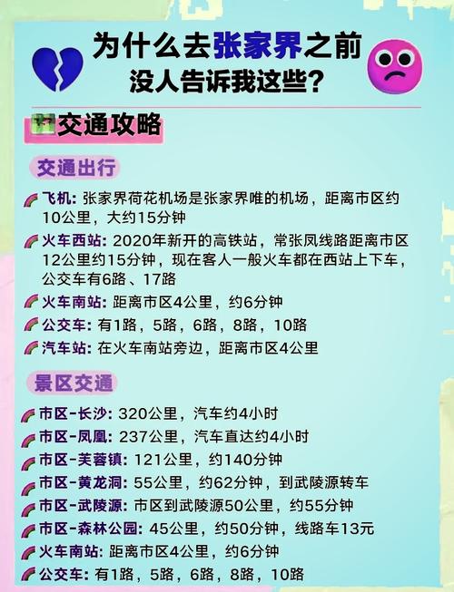 公交车上可不可以干湿垃圾？相关规定与实际情况大揭秘