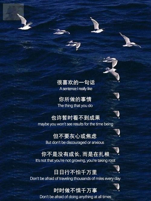 夜夜草人生：挑战与困难交织的旅程