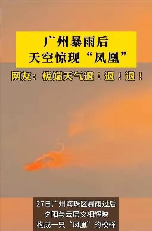 凤凰直播：精彩内容抢先看，你想知道凤凰直播有哪些亮点和特色吗？