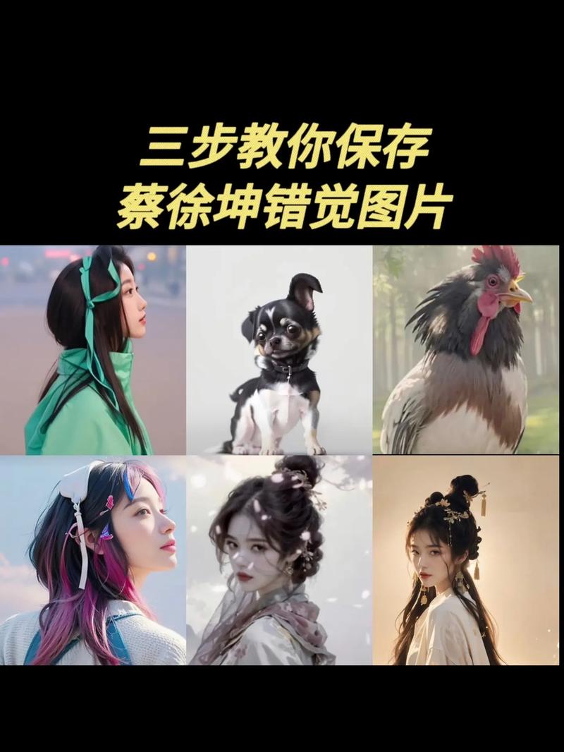 探索男的坤坤放入女的坤里蘑菇视频：独特视角下的创意演绎与深度解析