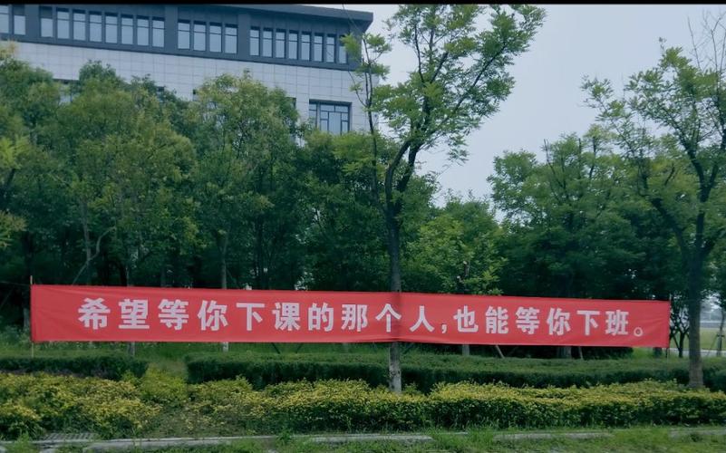 没人会等你壁纸游戏攻略，从新手到精通的全面指南