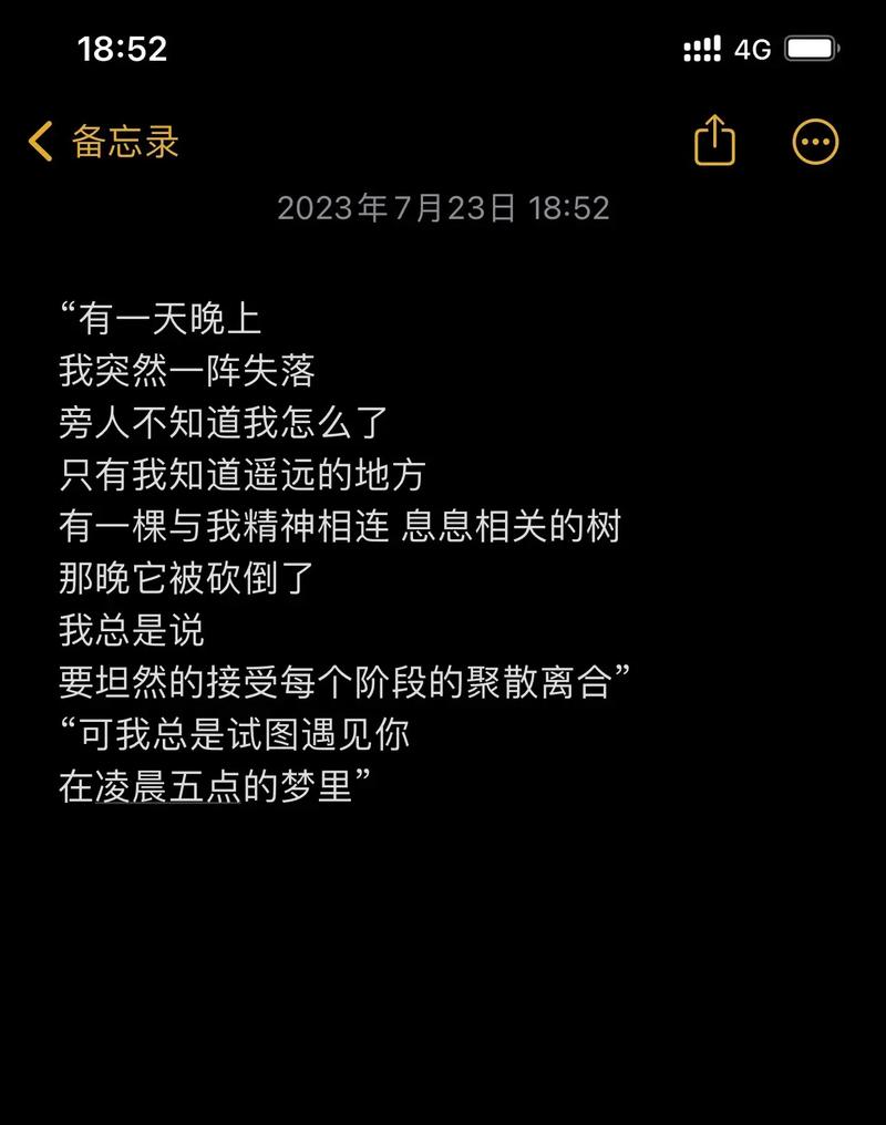 抖音热门旋律揭秘，遇见你的那天起，我已丢失了自己