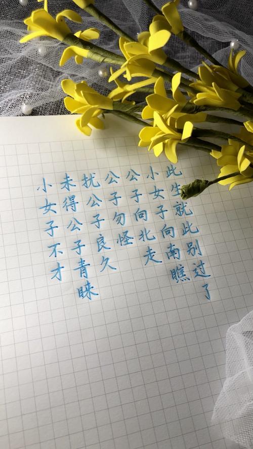 抖音小女子不才未得公子青睐是什么歌