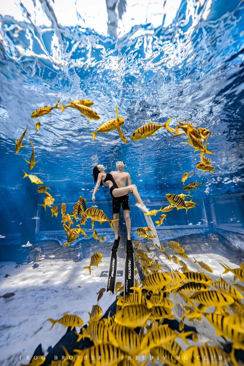 抖音水下视频怎么拍