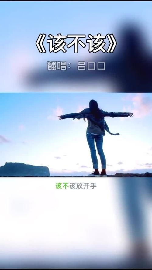 该不该放开手从现在到以后是什么歌？全面攻略指南