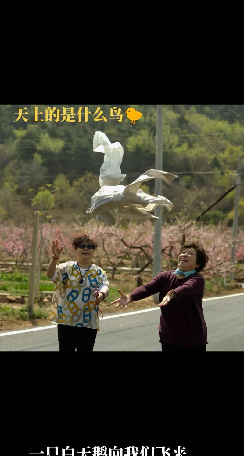 抖音热门BGM探秘，天上飞的是什么，鸟儿还是云朵背后的游戏魅力