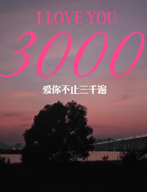 我爱你三千遍的演变史专题