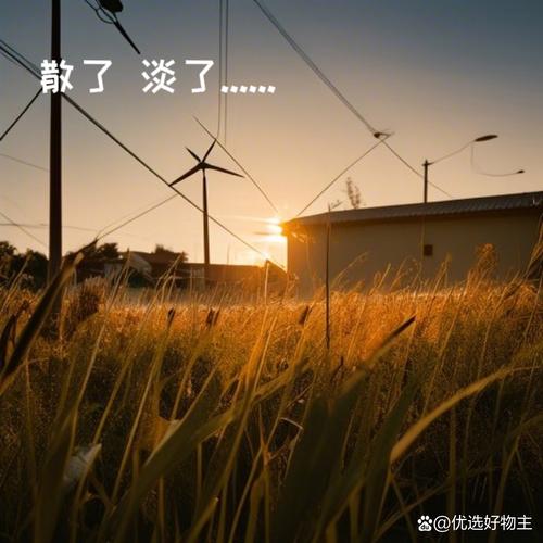 我想要一生醉在你世界是哪首歌的浪漫告白？