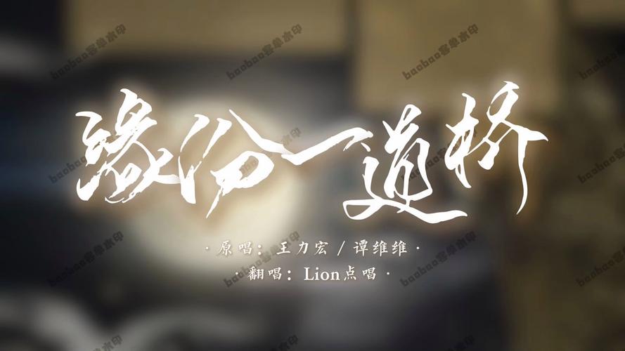 缘分一道桥，敢爱恨不能潦草的情感赞歌