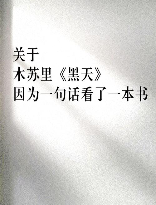 天黑了你很忧愁是什么歌，资源管理与价值最大化