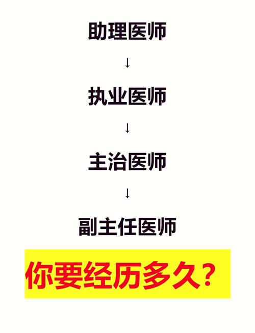 在同人传中，句芒担任了哪家宠物医院的主任医师？全面攻略
