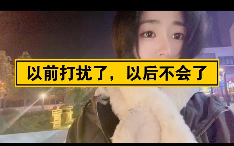 基于以前打扰了我以后不会了是什么歌探索游戏玩法革命