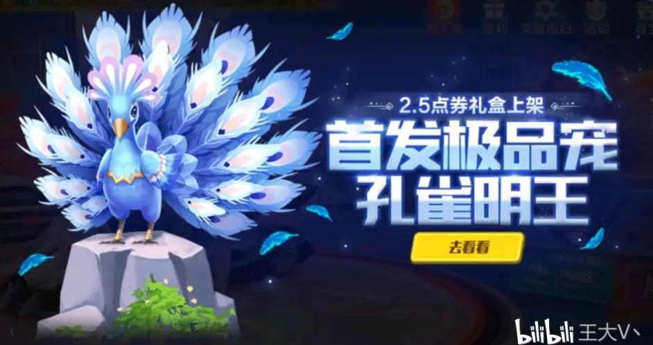 QQ飞车手游孔雀明王套装一览与装扮解析，资源管理的艺术