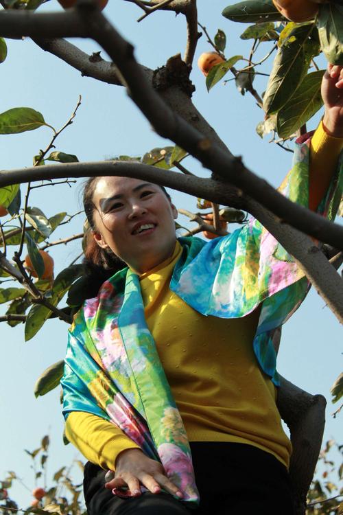 蒋玲玲版七仙女下凡究竟有何独特之处？快来一探究竟