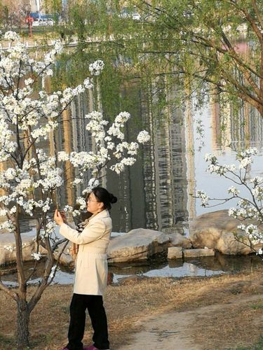 五十岁春天剧情大揭秘各分集精彩内容抢先看，不容错过