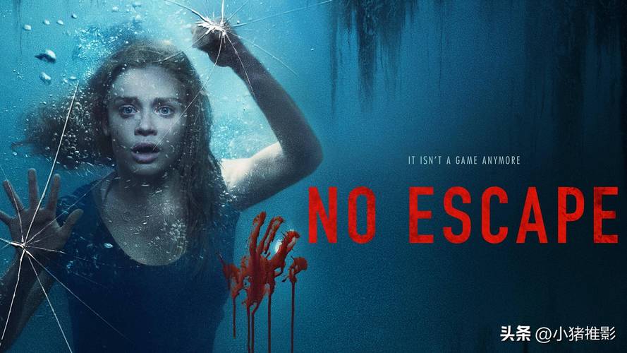 缅北噩梦4免费高清完整版在线观看：惊悚剧情深度解析与观众热议话题