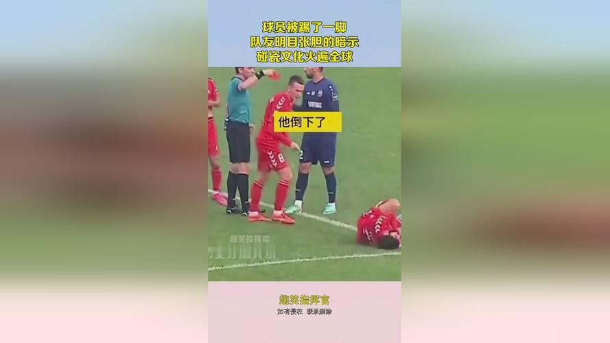 人与禽 ZoZ0 性伦 AV：揭秘背后的真相与争议